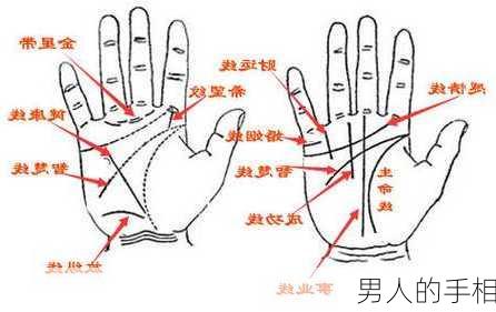 男人的手相-第2张图片-滋味星座网