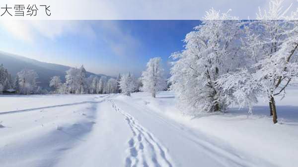 大雪纷飞