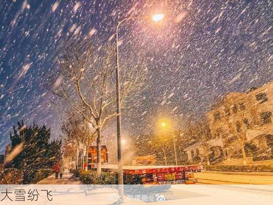 大雪纷飞-第2张图片-滋味星座网