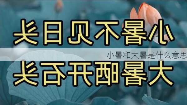 小暑和大暑是什么意思-第2张图片-滋味星座网