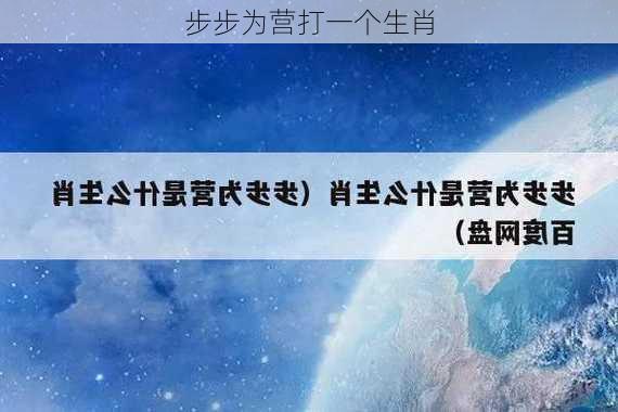 步步为营打一个生肖-第3张图片-滋味星座网