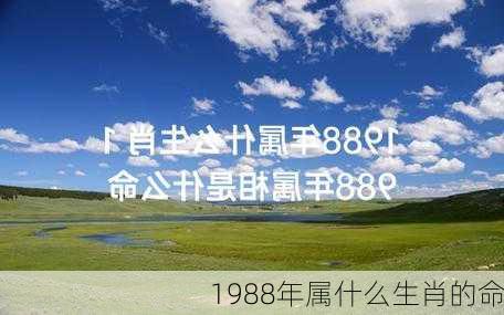 1988年属什么生肖的命-第2张图片-滋味星座网