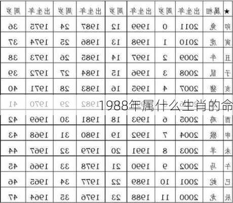 1988年属什么生肖的命