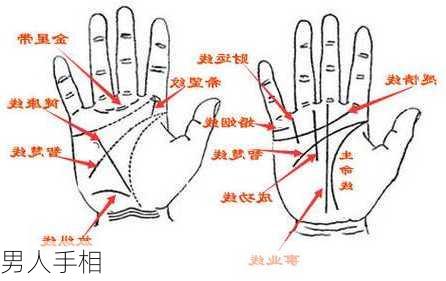 男人手相-第2张图片-滋味星座网