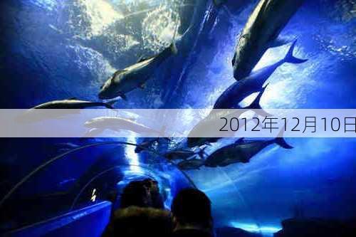 2012年12月10日-第2张图片-滋味星座网