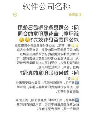 软件公司名称-第2张图片-滋味星座网