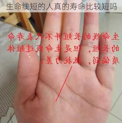 生命线短的人真的寿命比较短吗