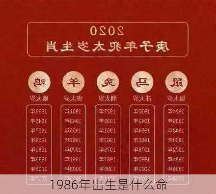 1986年出生是什么命-第2张图片-滋味星座网