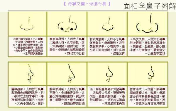 面相学鼻子图解-第1张图片-滋味星座网