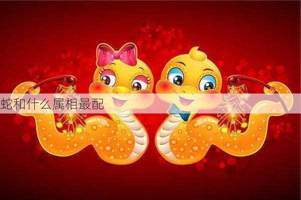 蛇和什么属相最配