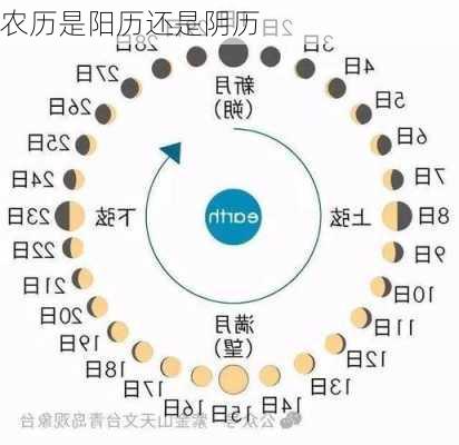 农历是阳历还是阴历