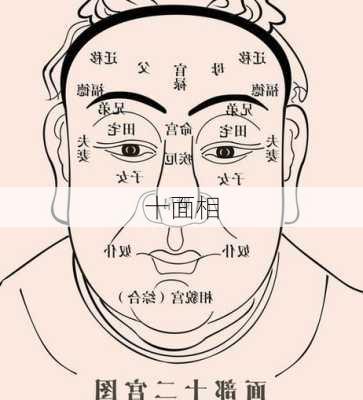 十面相-第2张图片-滋味星座网