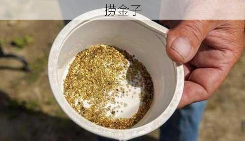 捞金子-第2张图片-滋味星座网