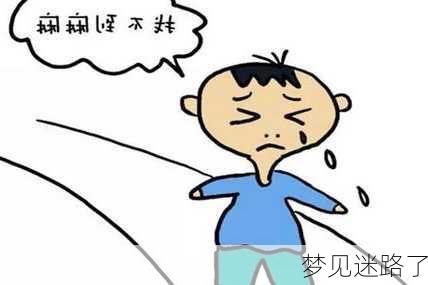 梦见迷路了