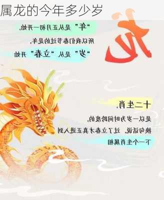 属龙的今年多少岁-第2张图片-滋味星座网