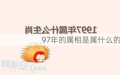 97年的属相是属什么的-第3张图片-滋味星座网