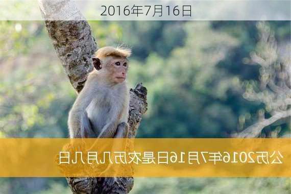 2016年7月16日-第2张图片-滋味星座网