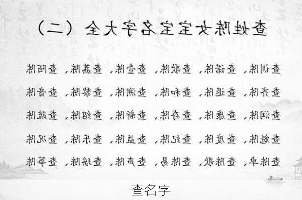 查名字