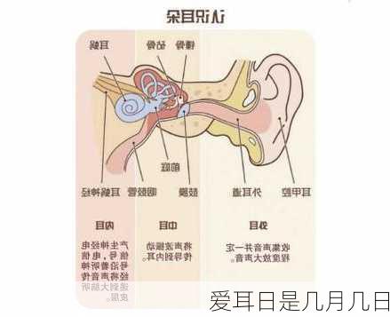 爱耳日是几月几日-第3张图片-滋味星座网