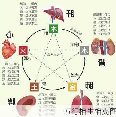 五行相生相克图-第3张图片-滋味星座网