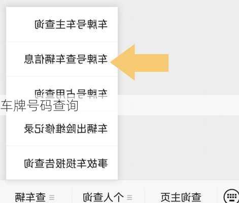车牌号码查询-第3张图片-滋味星座网