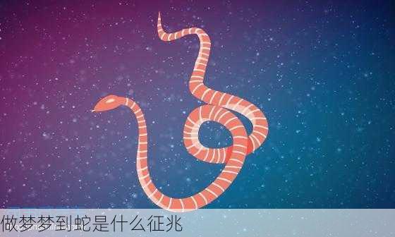 做梦梦到蛇是什么征兆-第2张图片-滋味星座网