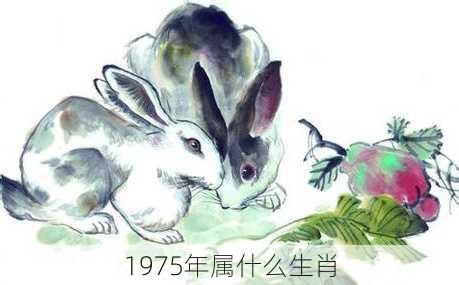 1975年属什么生肖-第2张图片-滋味星座网