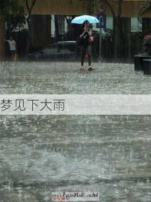 梦见下大雨-第3张图片-滋味星座网