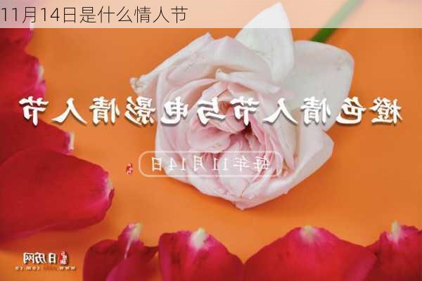 11月14日是什么情人节-第3张图片-滋味星座网