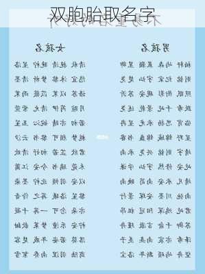 双胞胎取名字-第3张图片-滋味星座网