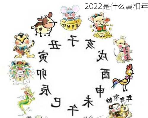 2022是什么属相年-第3张图片-滋味星座网