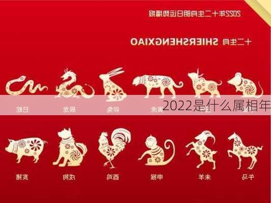 2022是什么属相年-第1张图片-滋味星座网