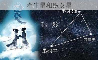 牵牛星和织女星-第3张图片-滋味星座网