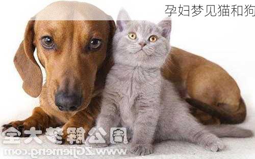 孕妇梦见猫和狗-第2张图片-滋味星座网