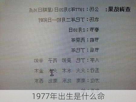 1977年出生是什么命-第2张图片-滋味星座网