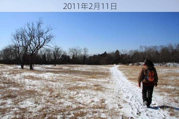 2011年2月11日-第3张图片-滋味星座网