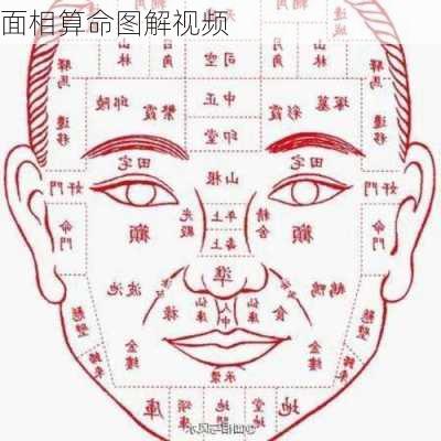 面相算命图解视频-第2张图片-滋味星座网