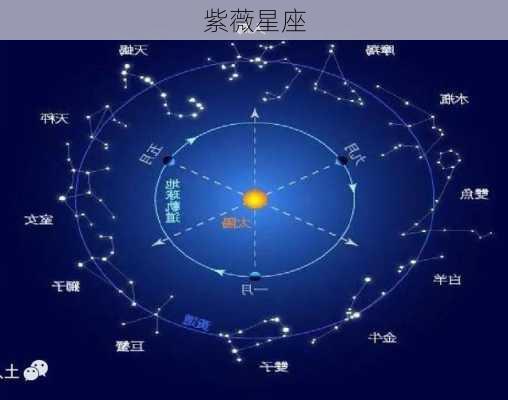 紫薇星座-第2张图片-滋味星座网