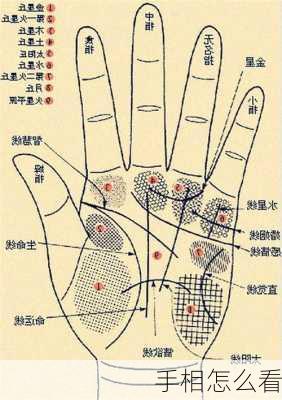 手相怎么看-第1张图片-滋味星座网