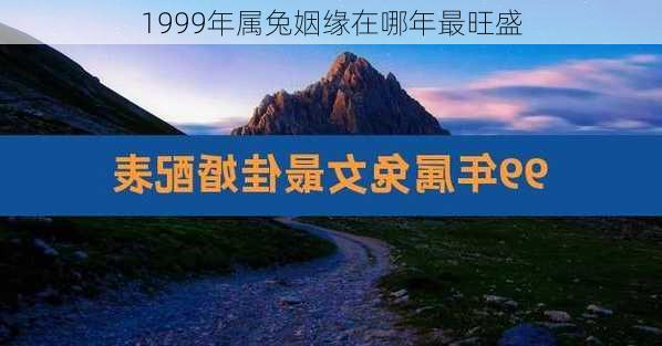 1999年属兔姻缘在哪年最旺盛-第1张图片-滋味星座网