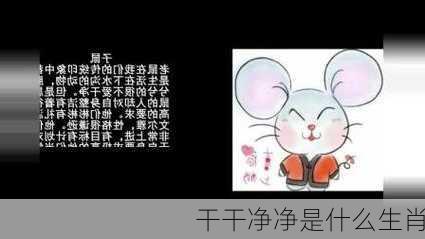 干干净净是什么生肖-第2张图片-滋味星座网