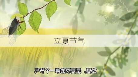 立夏节气