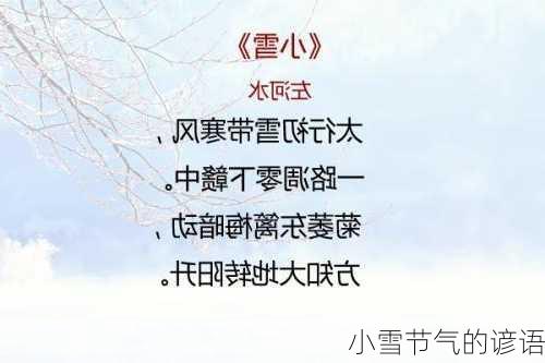 小雪节气的谚语-第3张图片-滋味星座网