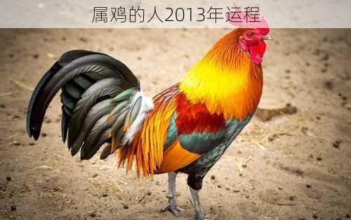 属鸡的人2013年运程-第3张图片-滋味星座网