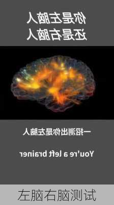 左脑右脑测试-第3张图片-滋味星座网