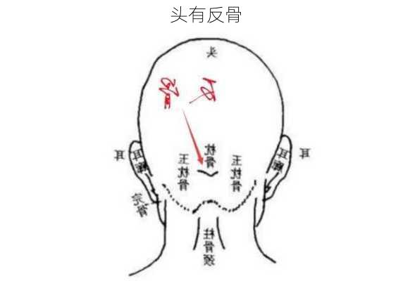 头有反骨-第2张图片-滋味星座网