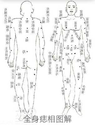 全身痣相图解-第2张图片-滋味星座网