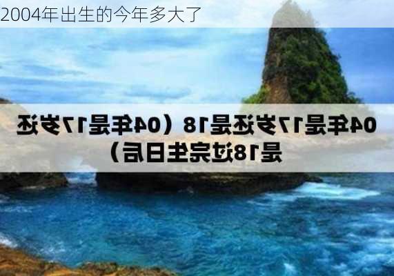 2004年出生的今年多大了-第2张图片-滋味星座网