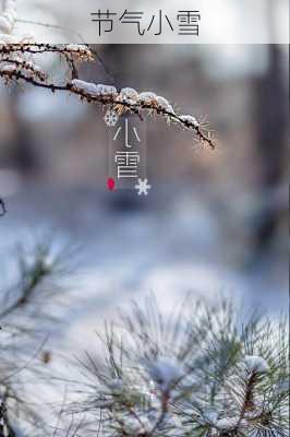 节气小雪-第3张图片-滋味星座网