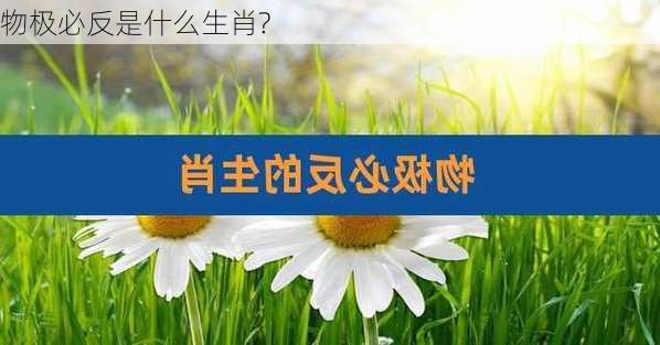 物极必反是什么生肖?-第3张图片-滋味星座网